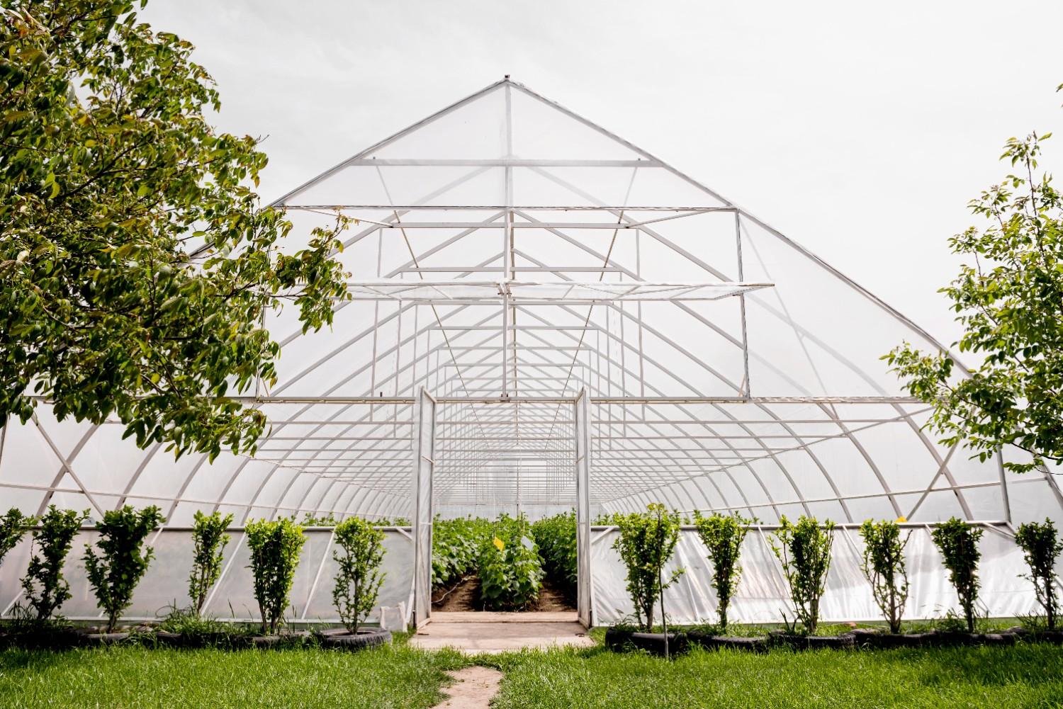 Green House